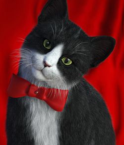CWRW Black, White and Tuxedos for the HW House Cat