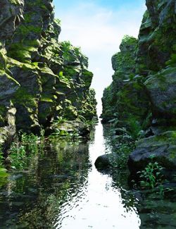 Nature Ravine