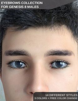 Eyebrows Collection for Genesis 8 Male(s)