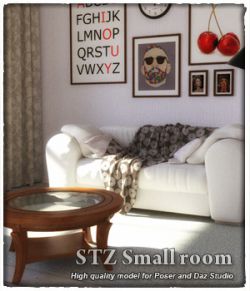 STZ Small room