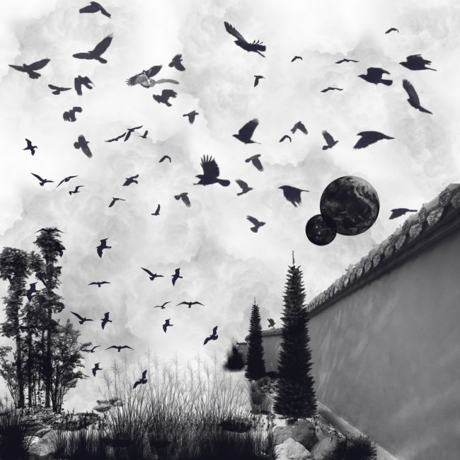 Click here to see preview images for "Manga Mega Starter Pack-Birds and other flying things" Manga Mega Starter Pack-Birds and other flying things