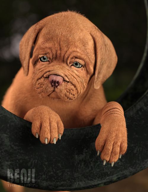 Click here to see preview images for "Benji The Puppy HD for Daz Dog 8" Benji The Puppy HD for Daz Dog 8