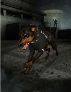 Daz Dog 8 Service Vest