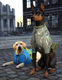 Daz Dog 8 Service Gear Add On Textures