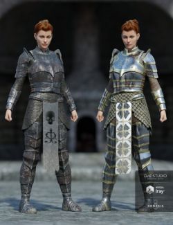 dForce High Paladin Textures