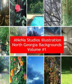 ANena Studios illustration North Georgia Background Volume #1