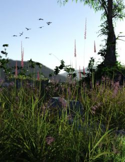 Long Grass- Essential Grassland Flowers and Plants