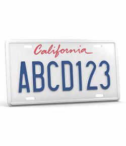 CAR LICENSE PLATE- Extended License