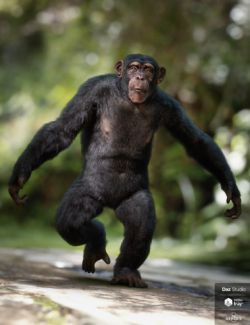 Anthropomorphs - Chimpanzee for Genesis 8 Male