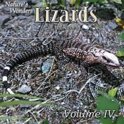 Nature's Wonders Lizards of the World Vol. 4