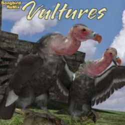 Songbird ReMix Vultures