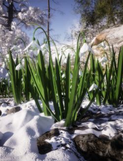 Wild Flowers Vol 6- Spring Plants