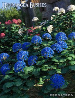 Predatron Hydrangea Bushes