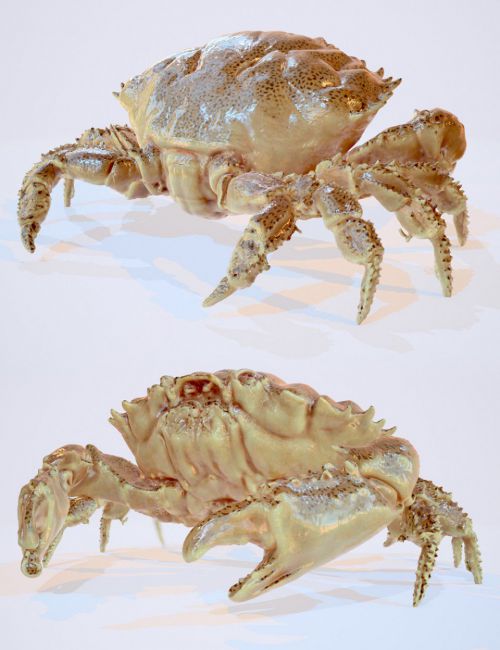 Click here to see preview images for "Crab" Crab