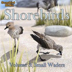 Songbird ReMix Shorebirds Vol 3 - Small Waders