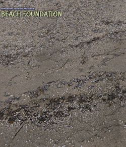 Panoramic Texture Resource: Beach Foundation