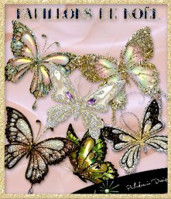 Papillons de Nol