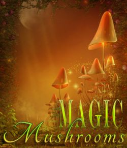 Magic Mushrooms