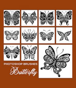 PB- Butterfly