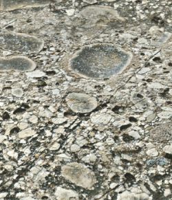 Panoramic Texture Resource: Stonefoundation 01