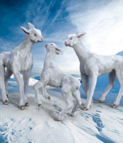 Midnight Creature 02 Snow Llama