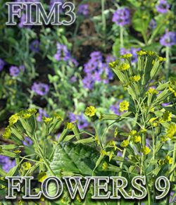 Flinks Instant Meadow 3 - Flowers 9