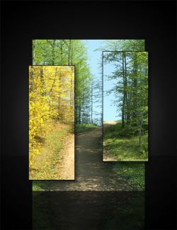 UltraScenery- Harpwood Trail