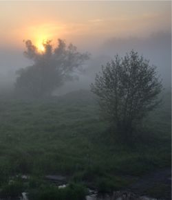 Early morning