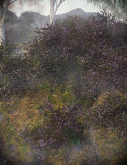 Heather- Heath and Moorland Plants for Daz Studio