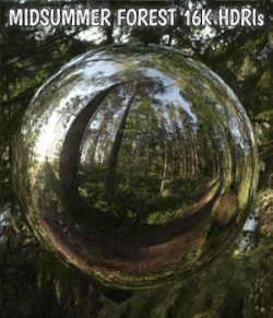 Midsummer Forest 16K HDRIs