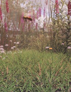 Simply Grass- Grass Plants and Clumps