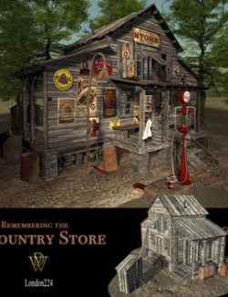 MS20 Country Store Vue 9