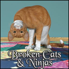 Broken Cats and Ninjas
