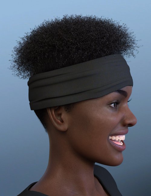 Click here to see preview images for "Artisan Hair for Genesis 8 Females" Artisan Hair for Genesis 8 Females