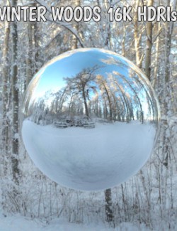 Winter Woods 16K HDRIs