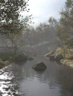 Foggy Forest 2