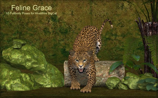 Click here to see preview images for "Feline Grace Poses for Hivewire Big Cat" Feline Grace Poses for Hivewire Big Cat