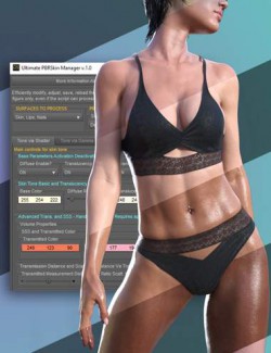 Ultimate PBRSkin Manager