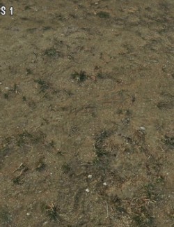 Panoramic Texture Resource: Mediterranean Dry Grass