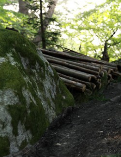 Modular 3D Kits: Nordic Lumberyard