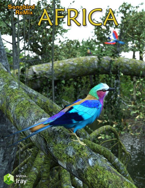 Click here to see preview images for "Songbird ReMix Africa" Songbird ReMix Africa