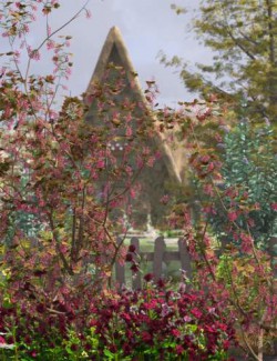 Spring Flowers- Flowering Currant Bushes