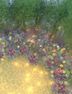Magic Fields Forever
