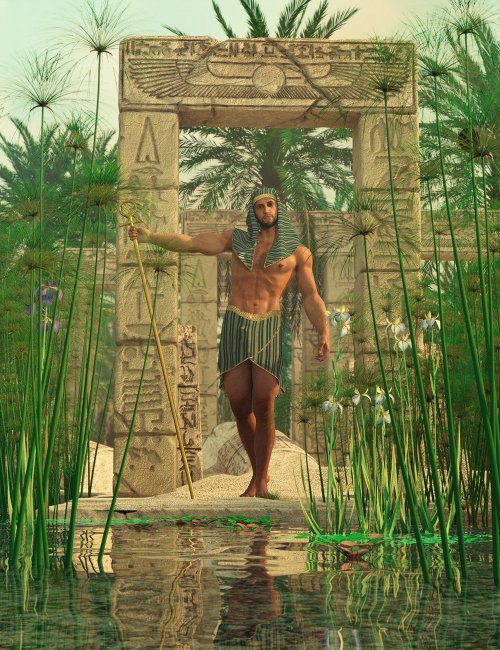 Click here to see preview images for "Nile Papyrus Plants" Nile Papyrus Plants