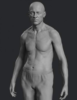 Wolfgang 8.1 HD Add-On