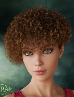 Prae-Evy Hair for G8 Daz