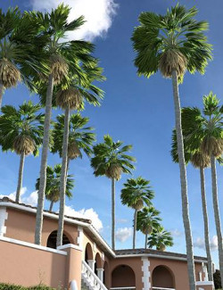 Predatron Washingtonia Fan Palm Trees