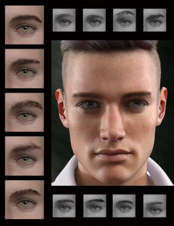 Bold Brows II Merchant Resource for Genesis 8 and 8.1 Males