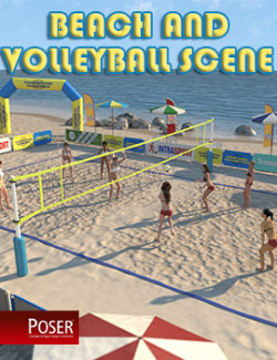 Beach Volleyball for Poser