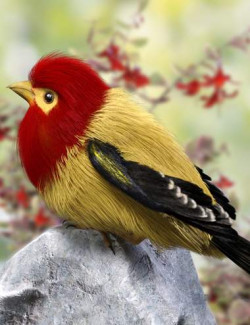 Winged Wonders - Feathers Style 2